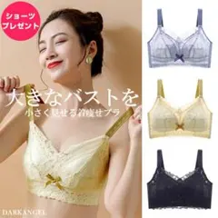 【おまけ付き】DARK ANGEL 胸を小さく見せるブラ ショーツセット D85