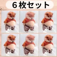★ おなかぷにぷにシール 柴犬 お腹 シリコン スクイーズ 緩衝 6枚セット22