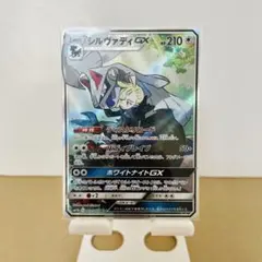 【美品】シルヴァディGX SR