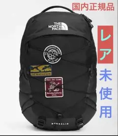 新品The North Face ノースフェイス ボレアリス バックパックパッチ