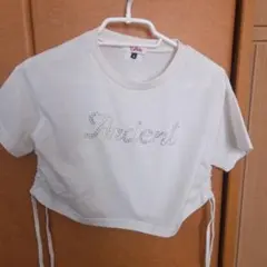 ピンクラテ　半袖