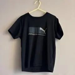 Puma Tシャツ2枚セット