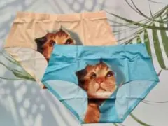 Item thumbnail for item 33dc45ec-878b-4706-b10c-2fd90c5fe883