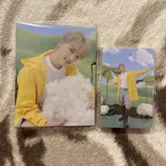 SEVENTEEN Heaven CARAT盤 ディノ バインダー