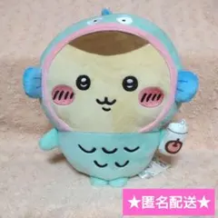 ちいかわ×サンリオ BIGぬいぐるみ【くりまんじゅう ハンギョドン
