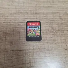 Minecraft Nintendo Switch ソフト