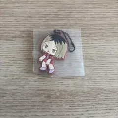 一番くじ ハイキュー!! ～全国への道～孤爪研磨H賞