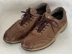 Item thumbnail for item 243ac042-eaed-4591-ad3e-c4e6c5aff304