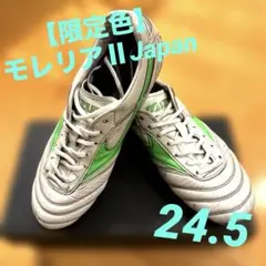 【限定色】モレリア2 Japan ホワイト /グリーン 24.５cm