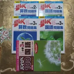 奨学社　最レベ 2年3年 算数・国語問題集（４冊）ハイレベ100国語３年（1冊）
