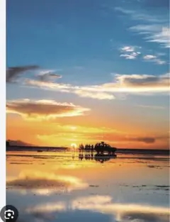 シーラン様専用ページ