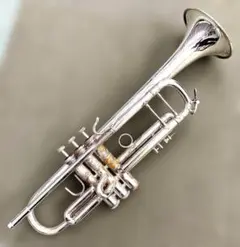 2026年最新】BACH 180MLの人気アイテム - メルカリ
