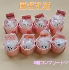 SKZOO ぷくっとバースデークリアリング フォクシニー ジニレット コンプ