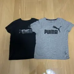 PUMAプーマTシャツ140 ２枚セット