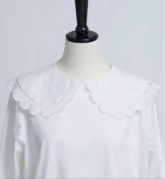 2025年最新】yori スカラップカラーロンteeの人気アイテム