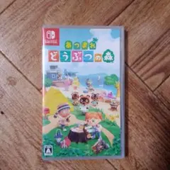 あつまれ どうぶつの森 Nintendo Switch