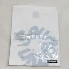 StrayKids RUN IT JAPAN Tシャツ スンミン L