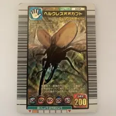 ヘラクレスオオカブト