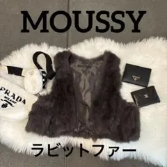 リアルファーベスト ベスト