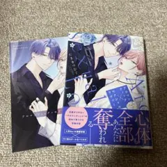 アロマンティック×セクシャルラヴァー