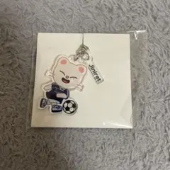 ヒョンジン ラゲッジタグstray kids ジニレット - メルカリ