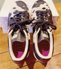 Item thumbnail for item 94e93849-31a2-4125-8cfe-b07f3bf472c4