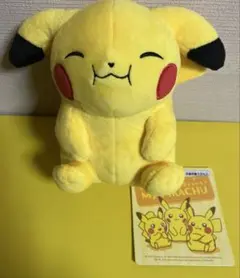 ポケモン マイピカチュウ 垂れ耳 困り顔 ぽっちゃり笑顔　セット 完売品 希少 ポケモンセンター 限定 マイピカチュウ 困り顔 垂れ