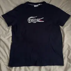 LACOSTE ラコステ ロゴ刺繍 Tシャツ ネイビー