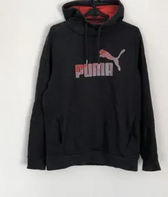 PUMA プーマ スウェットフーディー　パーカー　インポートL
