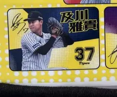 阪神タイガース　シークレットフォトブランケット 及川選手
