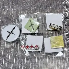 BUMP OF CHICKEN BFLYツアー ピンバッジ 缶バッジセット