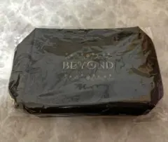 Item thumbnail for item 42e6fa0f-9489-4800-a292-6b7fb2010cad