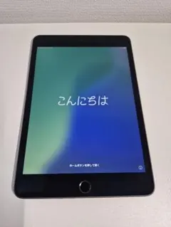 iPad mini 第5世代 Wi-Fi 64GB スペースグレイ