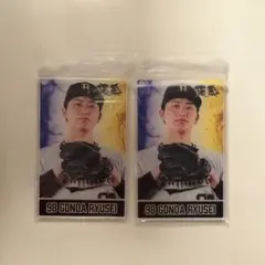 権田琉成　コロチャレ