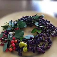 シャリンバイとカラフルな自然植物リース、メルカリ発送