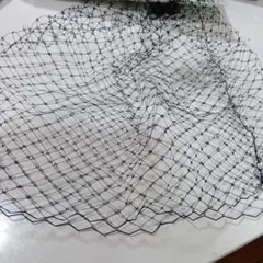 Item thumbnail for item c443a837-3308-49d9-8bdb-1e2f7db49e58