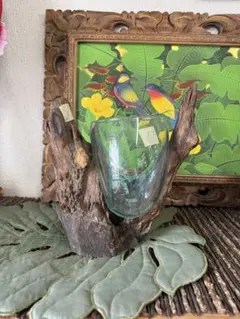 流木ガラス オブジェ中花瓶 金魚鉢 ガーデニング テラリウム 観賞魚 容器