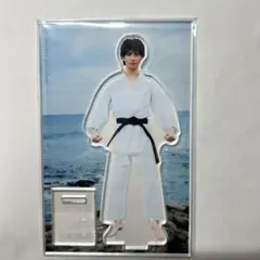 武藤潤 燕飛 写真集 アクスタ アクリルスタンド② - メルカリ