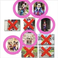 東京ディズニーリゾート ハロウィン 写真セット5枚