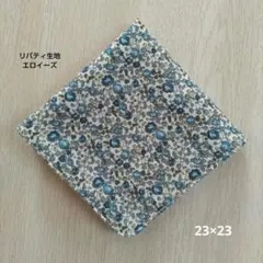 Item thumbnail for item 52cdd498-c8cd-4f45-9809-c1ef7fb748af