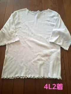 レディース　4L Tシャツ 半袖　長袖　まとめ売り