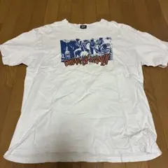 old STUSSY DOWN BY LAW Tシャツ ホワイト L