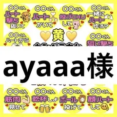 ayaaa様　専用　カンペうちわ