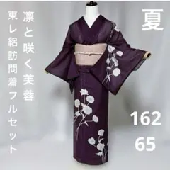 東レ　夏着物　絽　訪問着　フルセット　夏帯　夏帯締め　夏帯揚げ　洗える着物のサムネイル