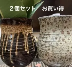 特価 ２個セット 陶器植木鉢 室内用
