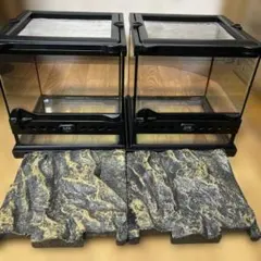 Item thumbnail for item be2c0f06-2944-42d6-8305-65400b78b2ec