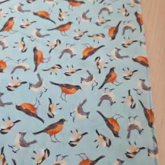 50×60　小鳥　とりさん　USA コットン　薄手　生地　はぎれ