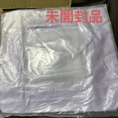 Item thumbnail for item 4006a5bc-61f1-4275-8871-d03e6a2cb72d