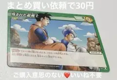 ドラゴンボールミラクルバトルカードダス残された超戦士