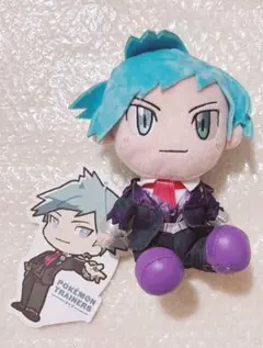 2025年最新】ポケモン ダイゴ ぬいぐるみの人気アイテム - メルカリ